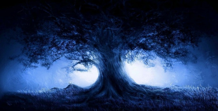 dark web drug markets