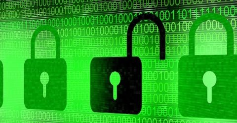 tor dark web