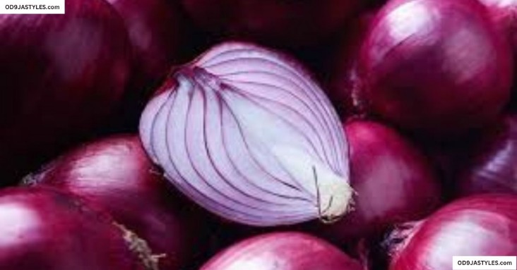 onion directory