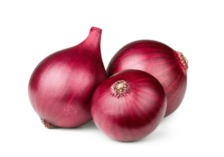 onion directory