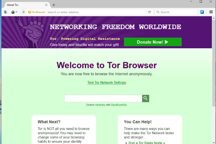 search engine dark web