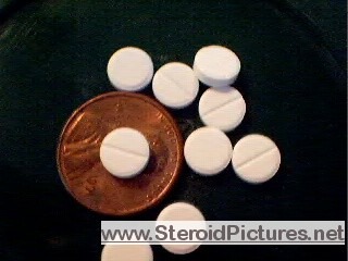 dbol steroid pills