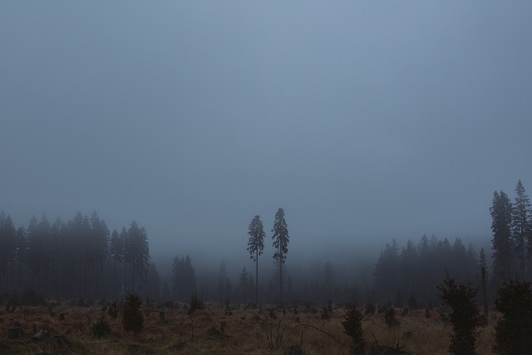 dark net market list reddit