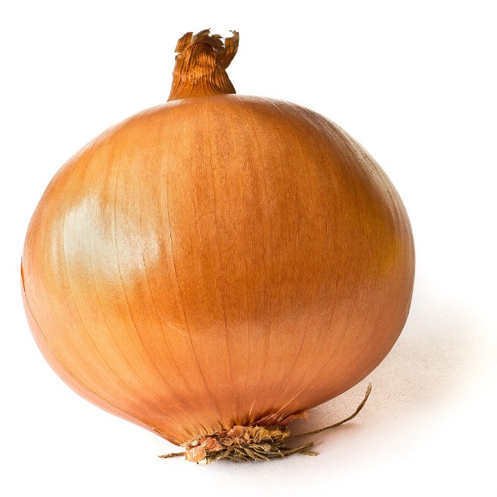onion dark web