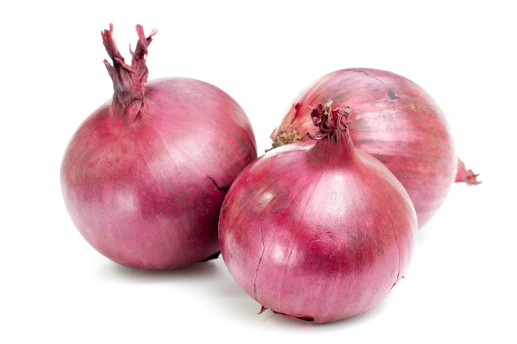 onion links sites