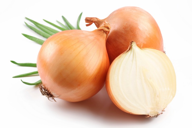 onion links sites