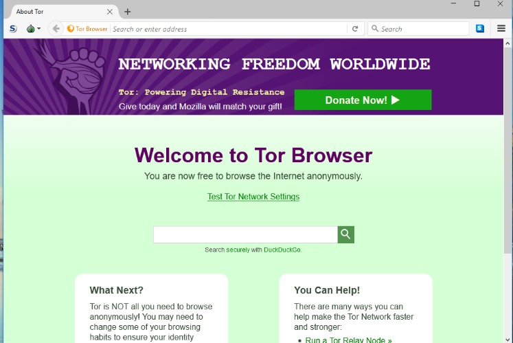 how to access dark web