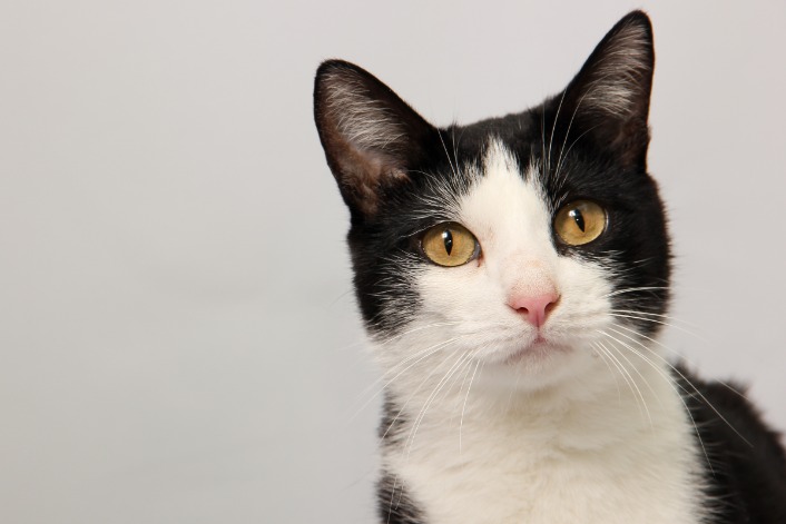 black market websites 2025