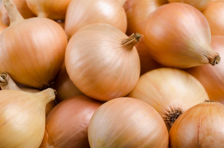 onion directory 2025