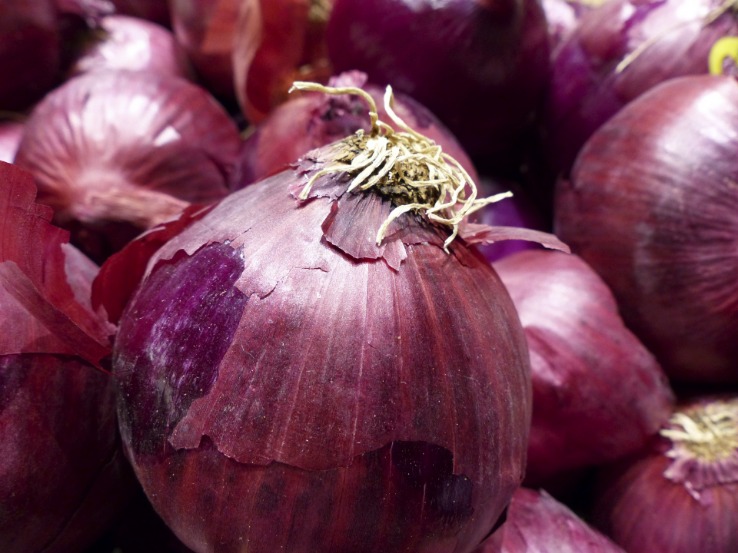 the onion directory