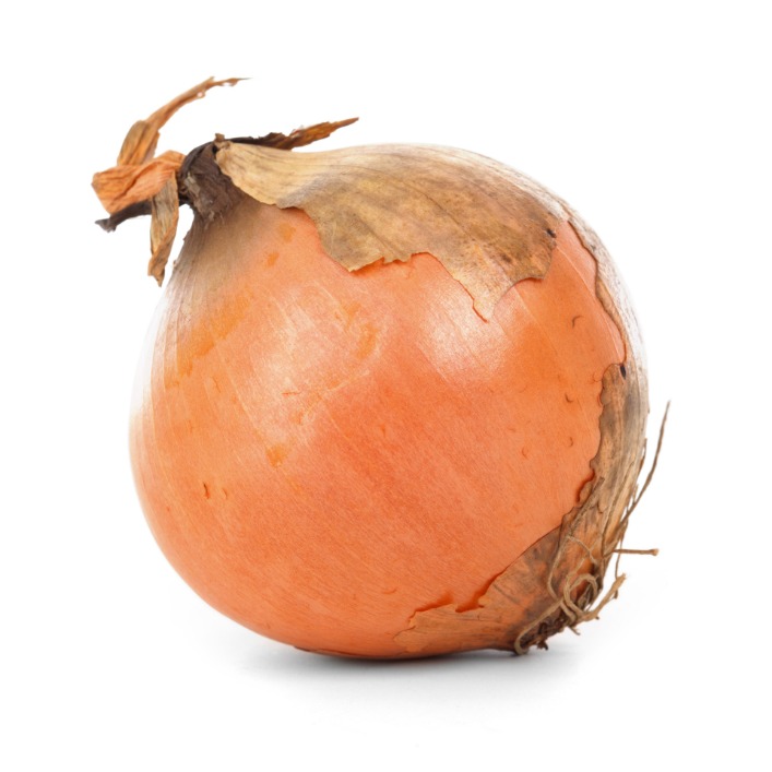 the onion directory