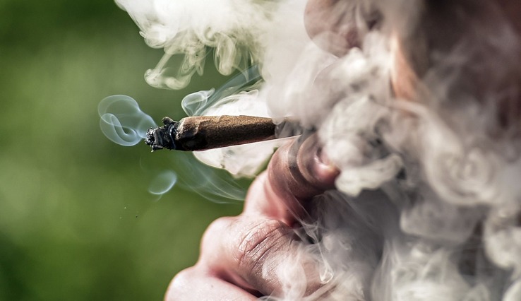 weed darknet market
