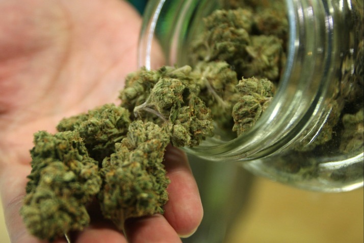 weed darknet market