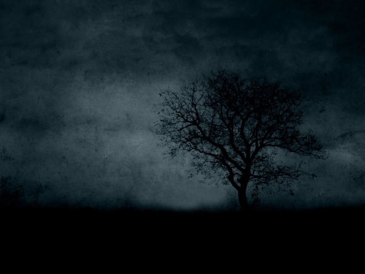 dark web markets reddit