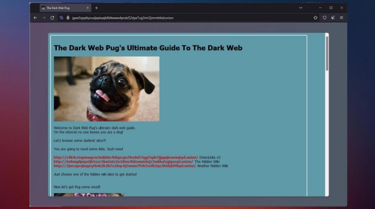 how to access deep web safely reddit