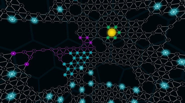 best fraud market darknet