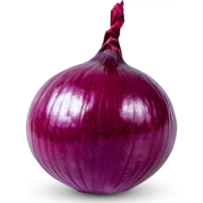onion links credit card