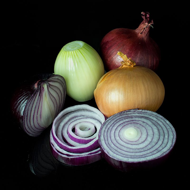 onion links credit card