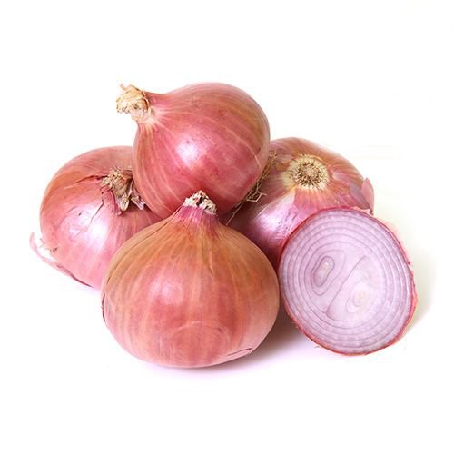 the onion directory