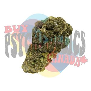 where to buy molly